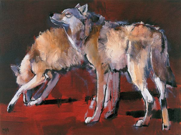 Loups a Mark  Adlington