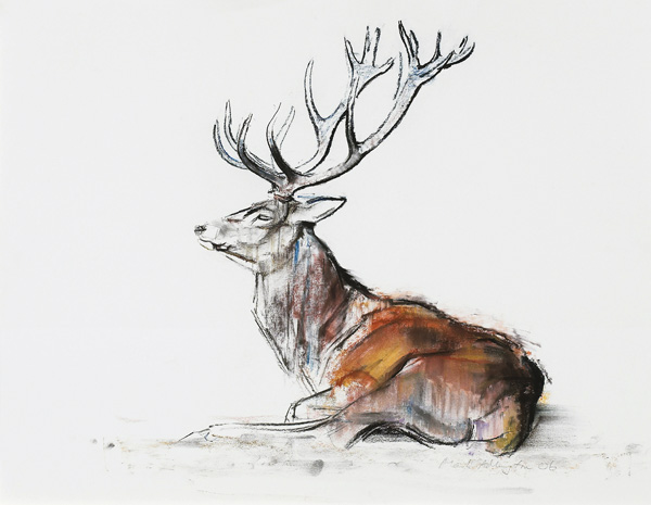 Seated Stag a Mark  Adlington