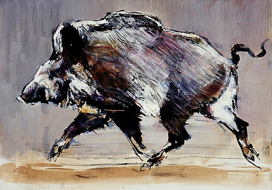 Running boar a Mark  Adlington