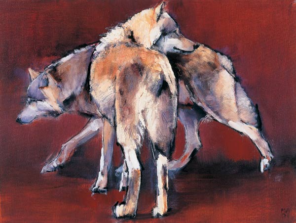 Wolf Composition a Mark  Adlington