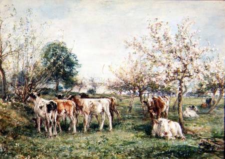 Calves in a Cherry Orchard a Mark Fisher