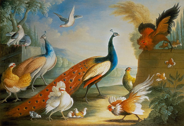 Two Peacocks, Doves, Chickens and a Rooster in a Parkland a Marmaduke Craddock