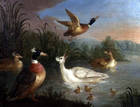 Ducks on a River Landscape a Marmaduke Craddock