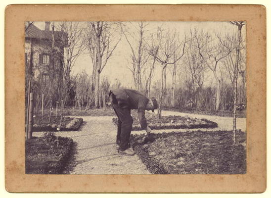 Gustave Caillebotte (1848-94) gardening at Petit Gennevilliers, February 1892 (b/w photo) a Martial Caillebotte