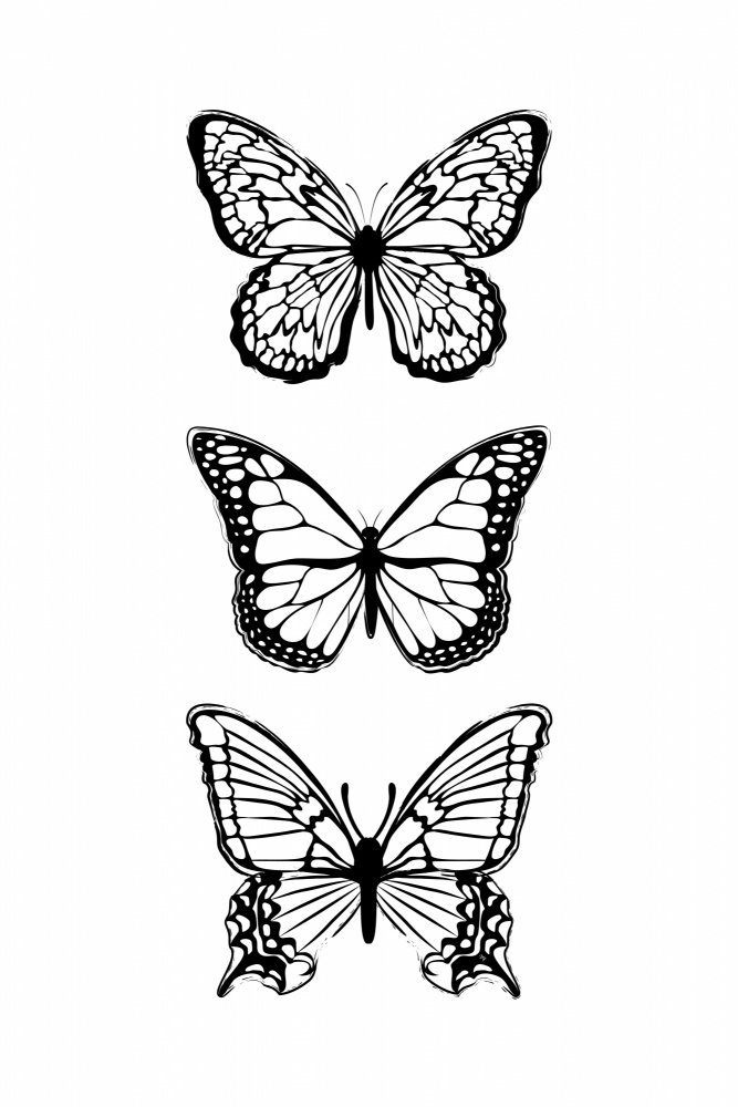 Black Butterflies a Martina