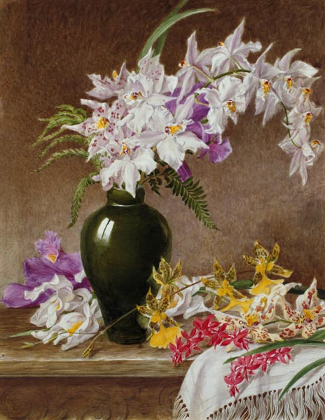 Orchids in a Vase a Mary Elizabeth Duffield