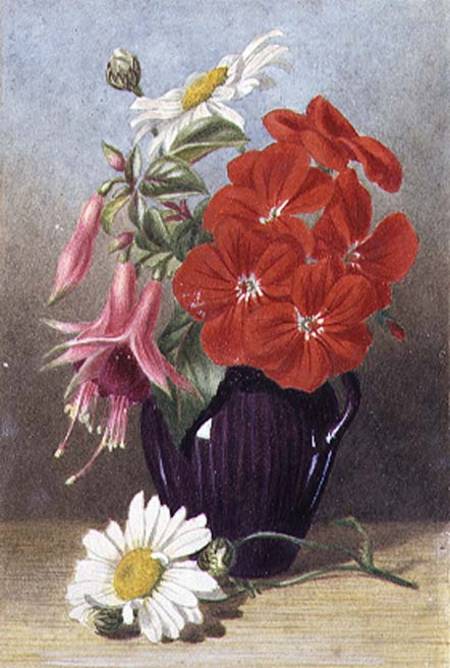 Geraniums and Fuchsias in Glazed Purple Jug a Mary Elizabeth Duffield