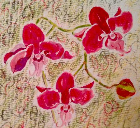 orchids