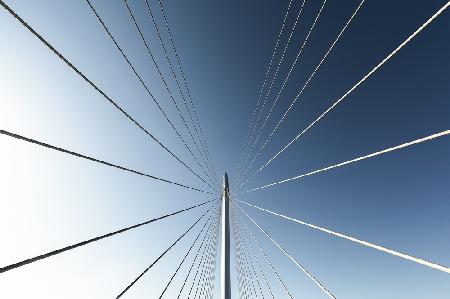 CALATRAVA BRIDGE.1