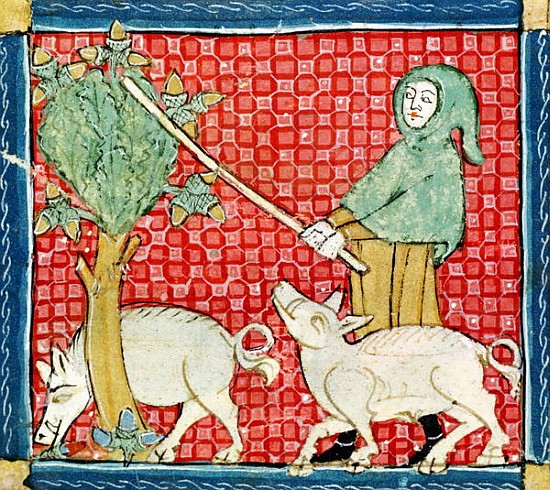 Fol.59v November: Gathering Acorns a Maestro Ermengaut