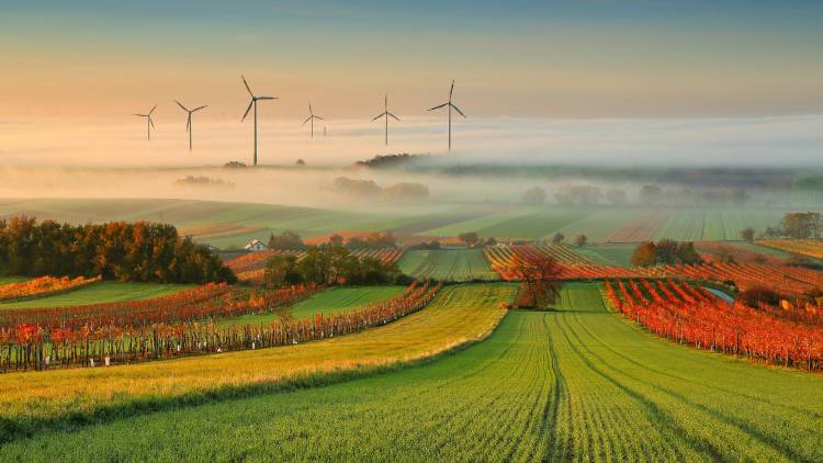 Autumn Atmosphere in Vineyards a Matej Kovac