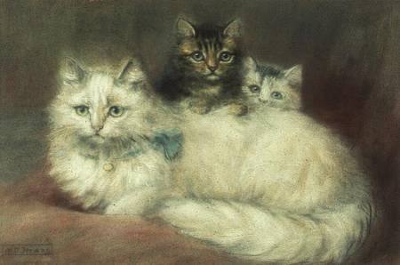 A Persian Cat and her kittens a Maud D. Heaps