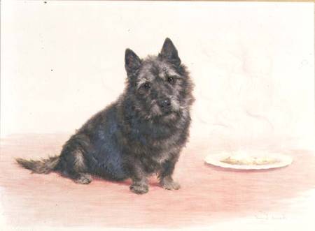 Suppertime - A Scottish Terrier Seated by a Plate a Maud Earl
