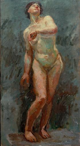 Female nude