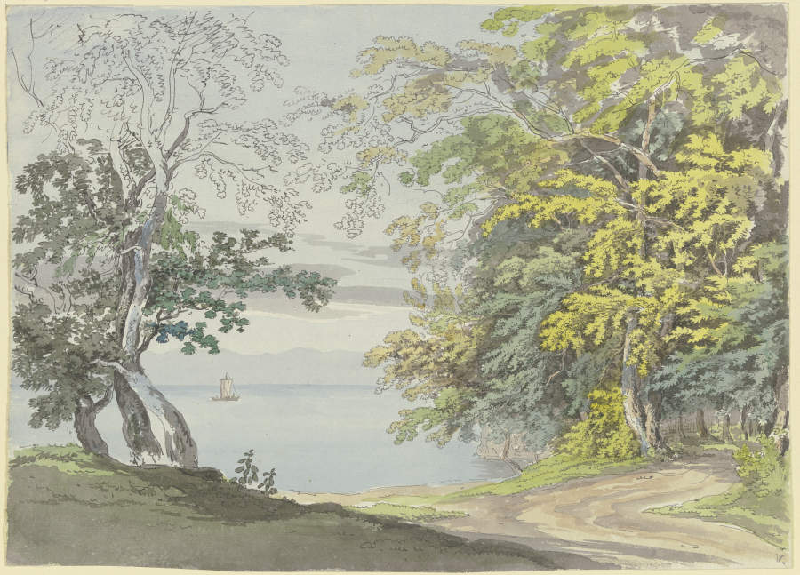 Blick vom Ufer der Insel Mainau auf den Bodensee a Max Joseph Wagenbauer