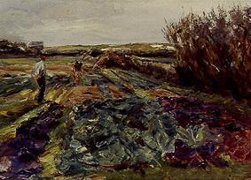 The cabbage field. a Max Liebermann