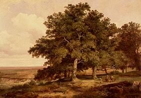 Oak cluster of trees with smallholders in front of a wide landscape. a Max Zimmermann