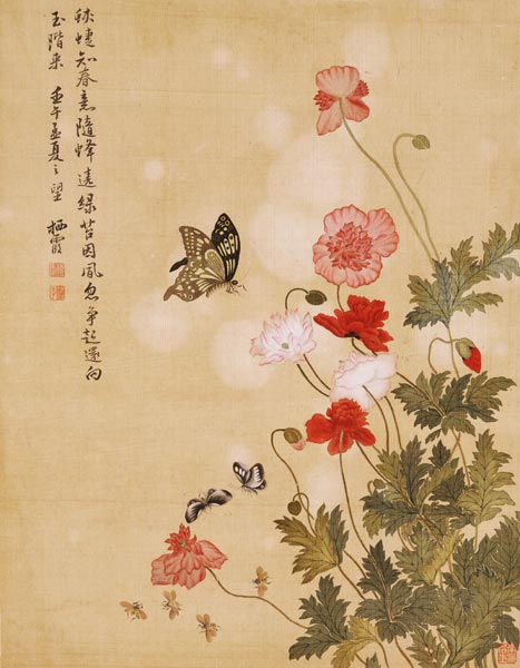 Papaveri e farfalle a Ma Yuanyu