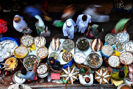 fish market