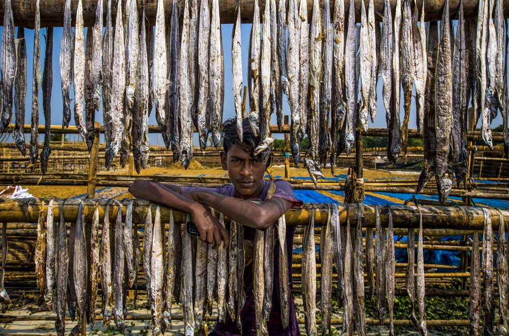 A worker boy of dried fish a Md. Sharif Uddin