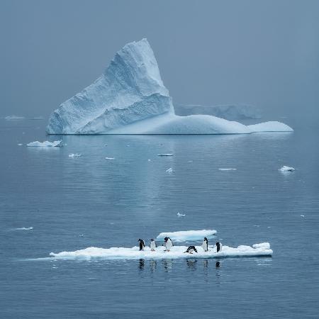 Daily Life in Antarctica