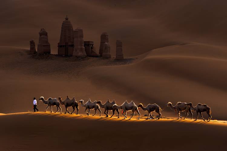 Castle and Camels a Mei Xu