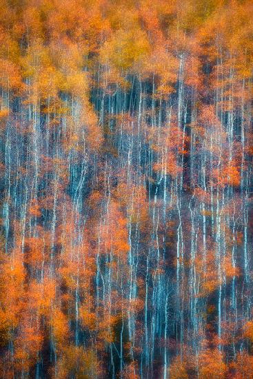 Autumn Abstract Vertical
