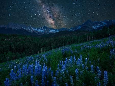 Milky Way over Lupine Slope
