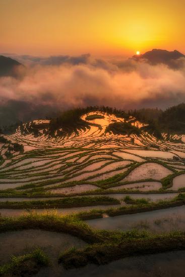 Terraced Fields at Sunrise