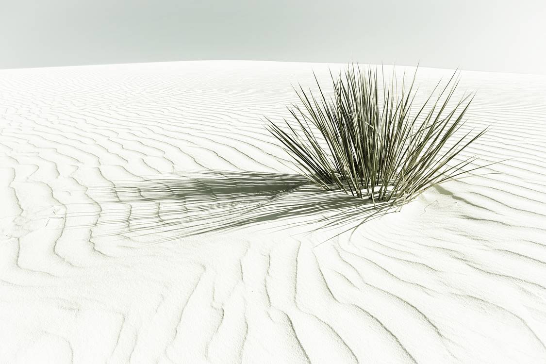 Dune, monumento nazionale di White Sands | Vintage  a Melanie Viola