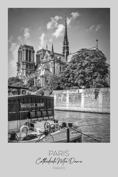 In primo piano: Cattedrale di Notre-Dame di Parigi a Melanie Viola