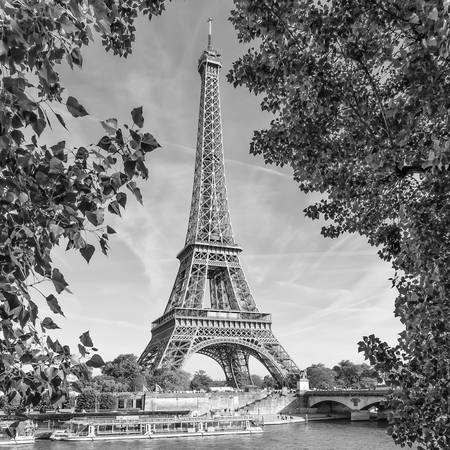 PARIGI Torre Eiffel e Senna | Monocromo