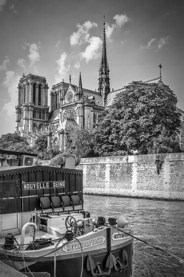 PARIGI Cattedrale di Notre-Dame | Monocromo
