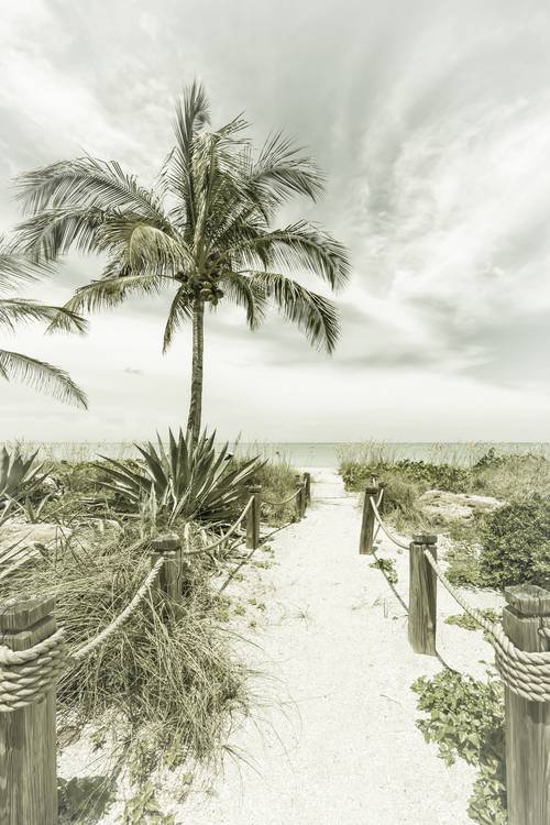 Strada per la spiaggia - Palme e mare | Vintage  a Melanie Viola