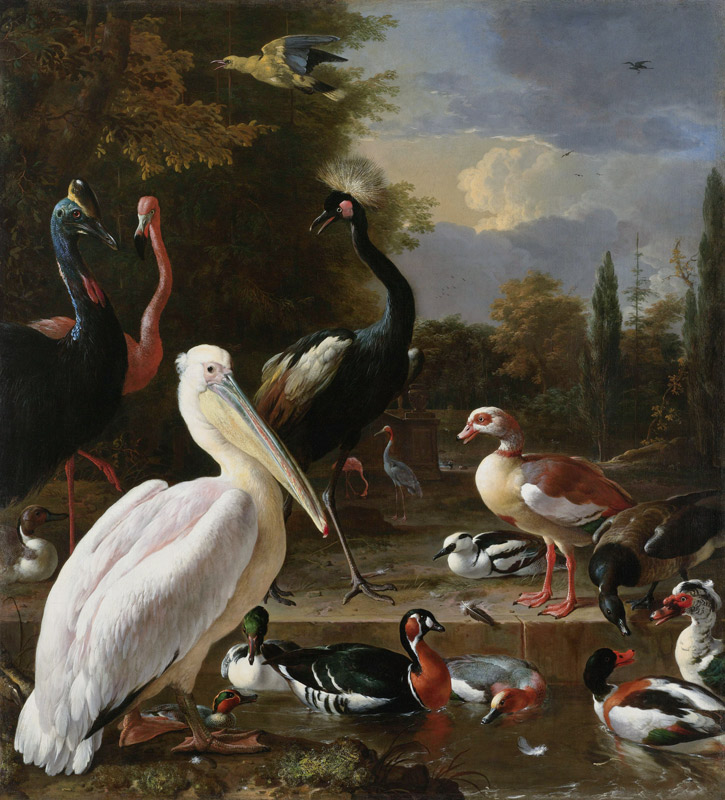 A Pelican and other Birds near a Pool, Known as ‘The Floating Feather’ a Melchior de Hondecoeter