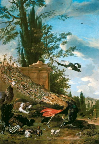 A Peacock and a Spaniel in the Garden of a Villa a Melchior de Hondecoeter