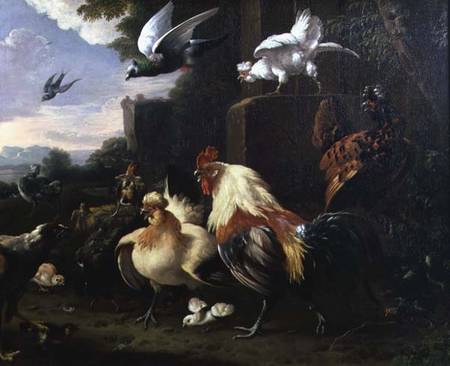 A cockerel and other fowl in a landscape a Melchior de Hondecoeter