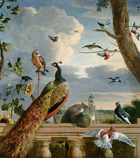 Palazzo ad Amsterdam con uccelli esotici a Melchior de Hondecoeter