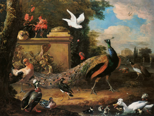Peacocks and other Birds by a Lake a Melchior de Hondecoeter