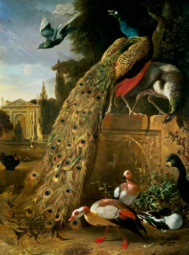 Peacock and a Peahen on a Plinth, with Ducks and Other Birds in a Park a Melchior de Hondecoeter