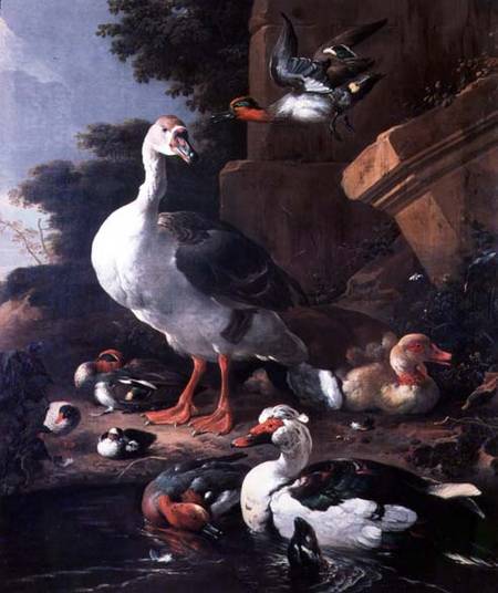 Waterfowl in a classical landscape a Melchior de Hondecoeter