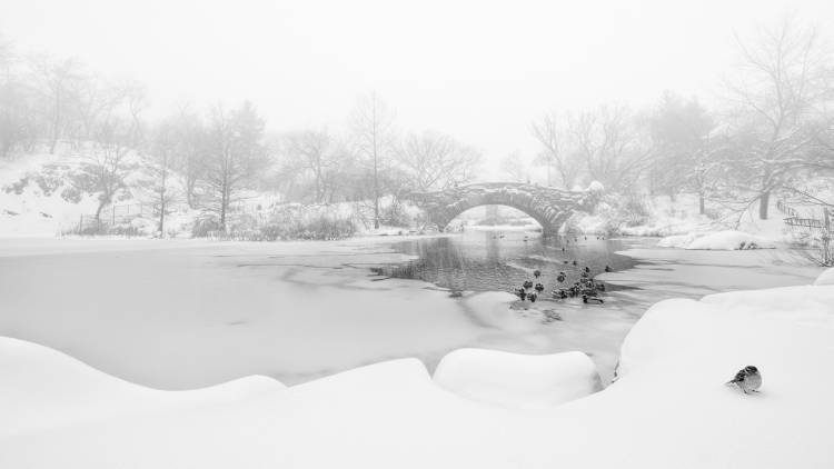 The first snow of central park a Menghuailin