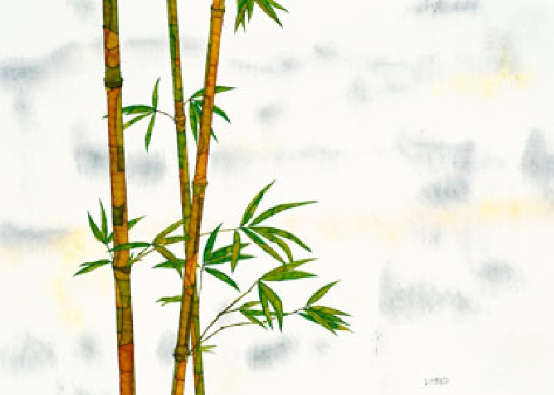 Bambus a Michael Ferner
