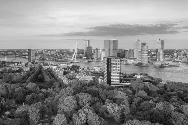 Abendsonne in Rotterdam schwarz-weiß a Michael Valjak