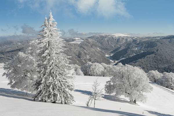 Blick zum Feldberg im Schwarzwald im Winter a Michael Valjak