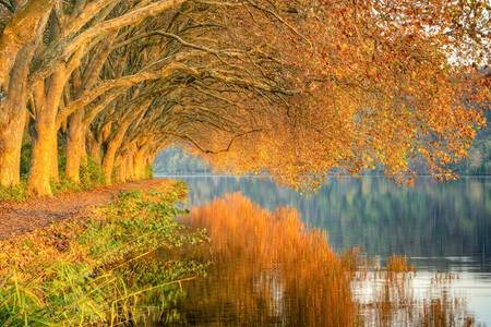 Herbst am Baldeneysee in Essen