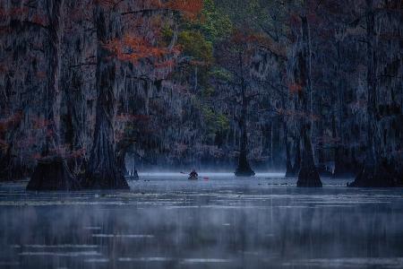 Fall is Coming to Caddo Lake
