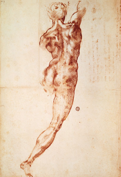 Nudo di schiena a Michelangelo Buonarroti