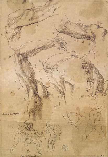 Ms H 184 fol.202 Studies of raised arms, a wild cat and a group of figures  & a Michelangelo Buonarroti