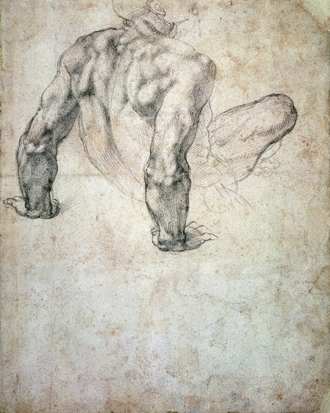 W.63r Study of a male nude, leaning back on his hands cil on a Michelangelo Buonarroti